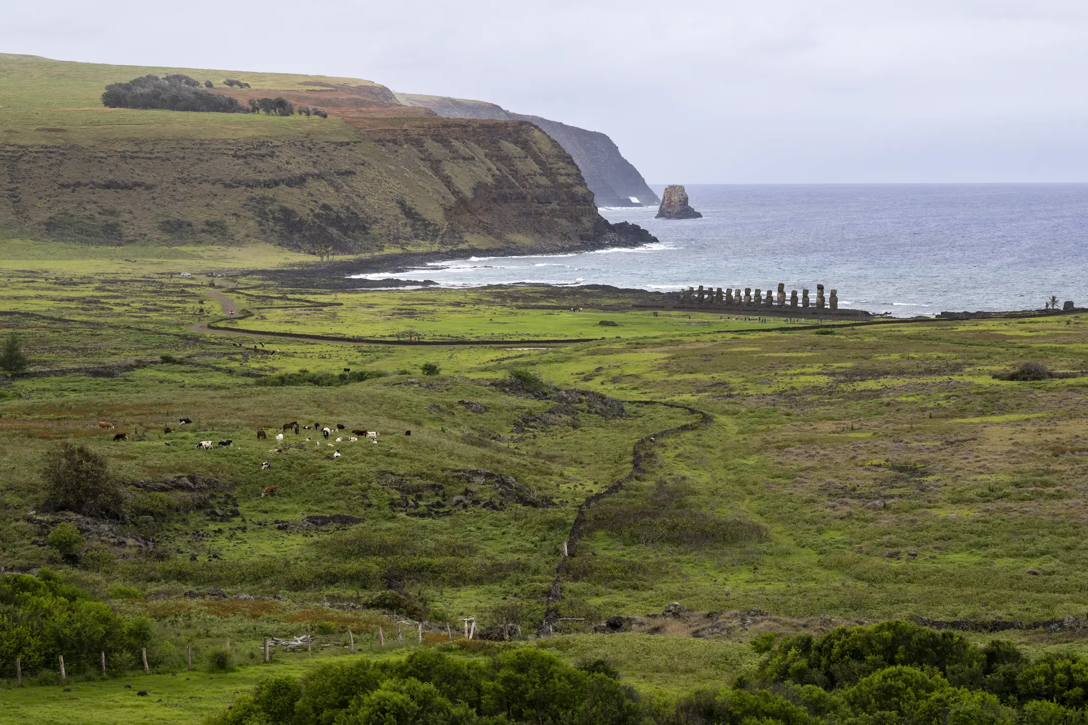 Moai overlooking the Pacific beneath the coastal cliffs of Rapa Nui