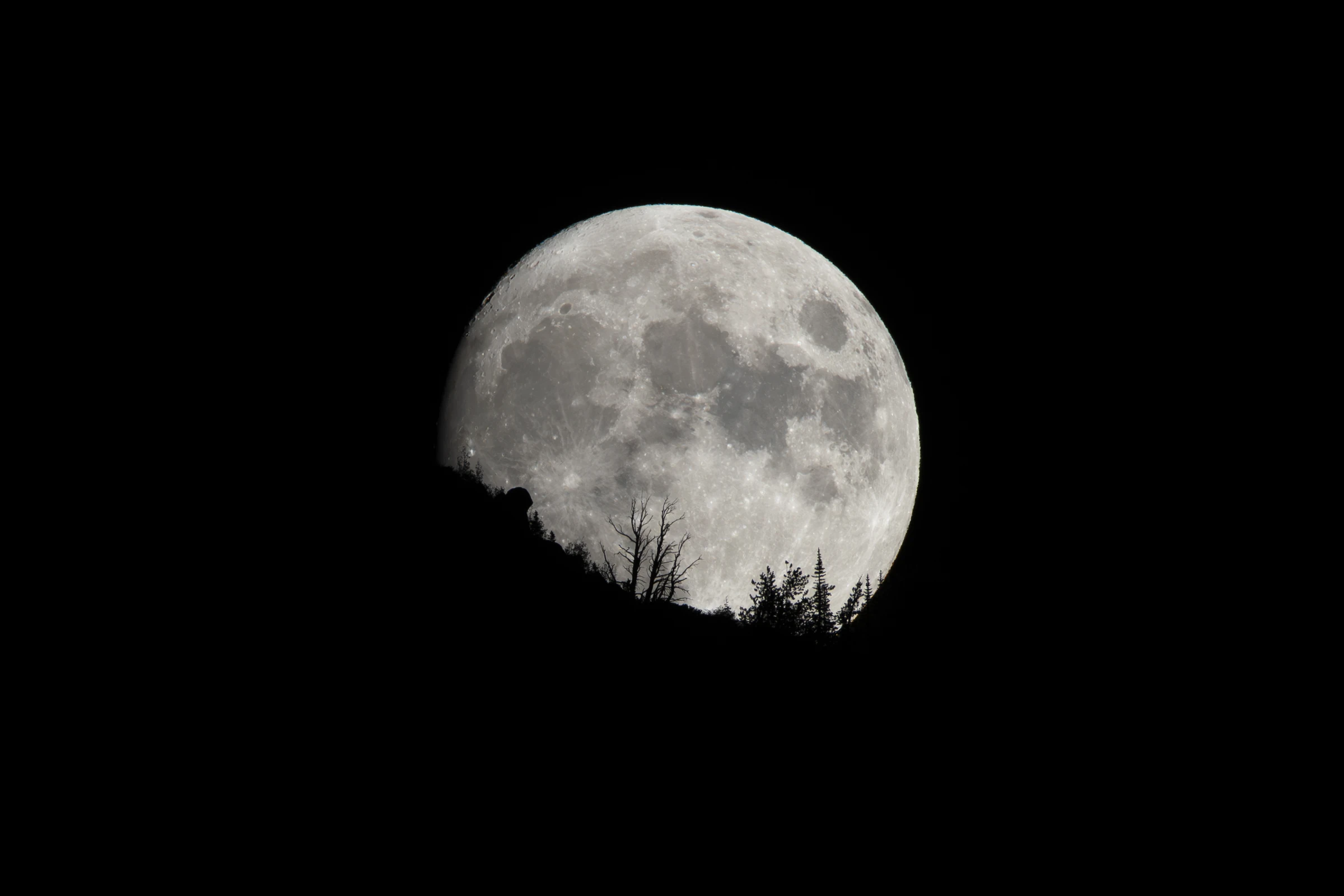 The moon rising behind a ridge and silhouetted trees at Brighton, Utah