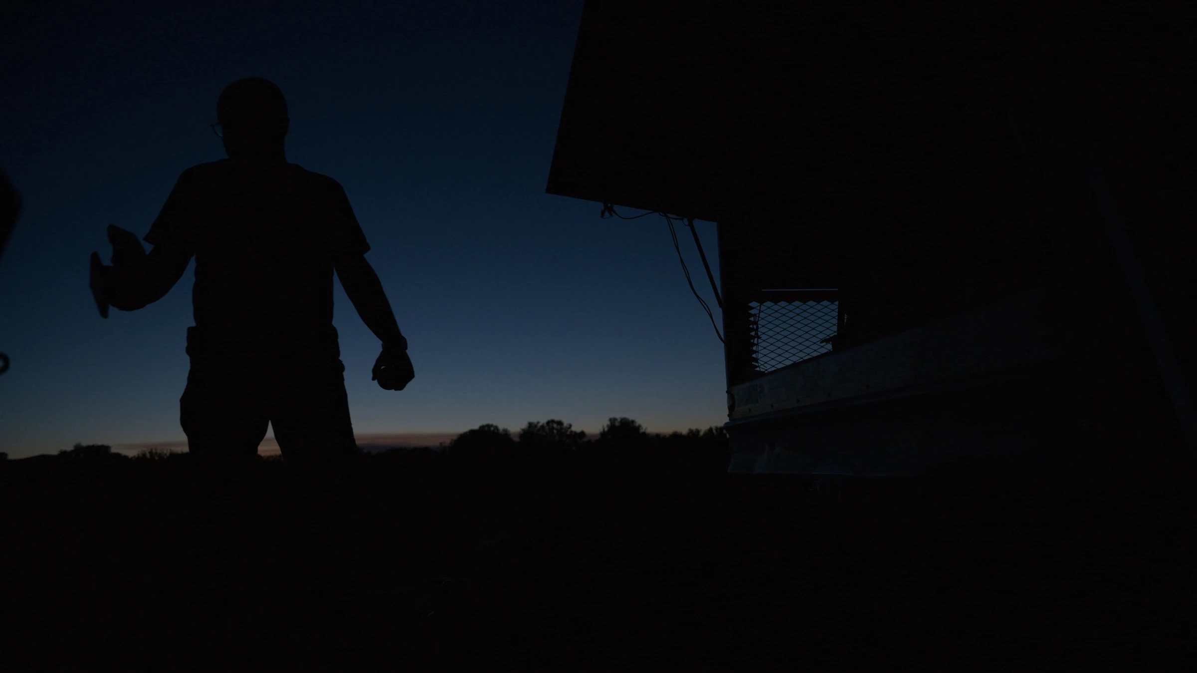 A silhouette beside Sunny at dusk
