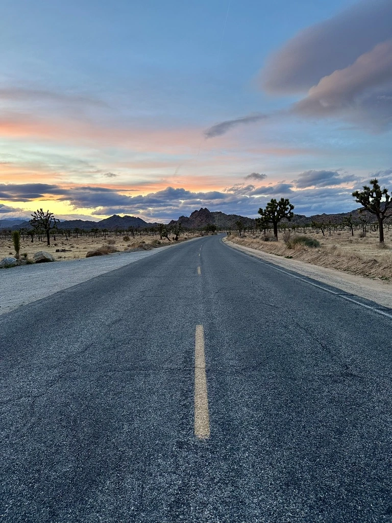 A road winding through Joshua trees beneath a colorful evening sky